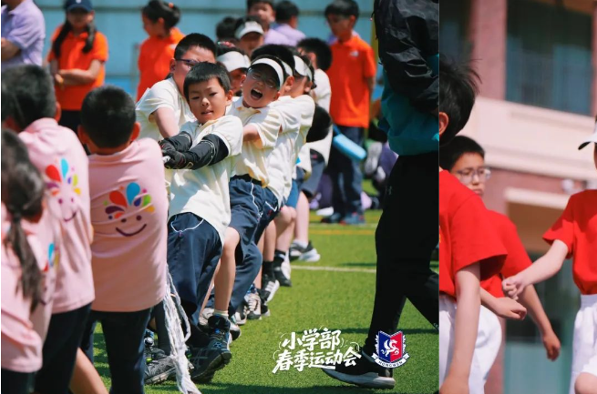360截图17040512889392.png